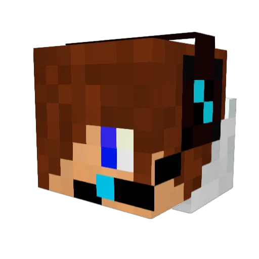 TheDiamondEagle1 Minecraft avatar head, 3D render