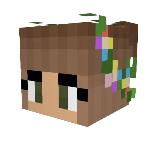 TheDiamondGirl06 Minecraft avatar head, 3D render