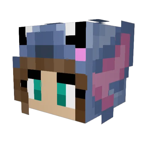 TheDiamond_Duck Minecraft avatar head, 3D render