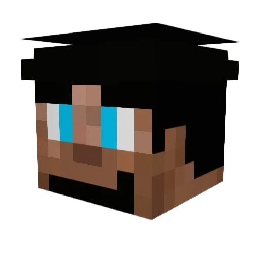 TheDigitalNinja Minecraft avatar head, 3D render