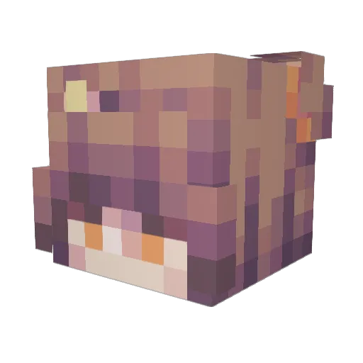 TheDisapointment Minecraft avatar head, 3D render