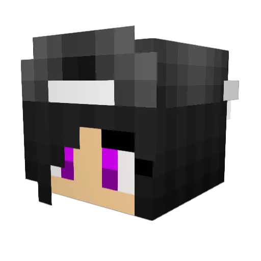 TheDisneeyBDF Minecraft avatar head, 3D render