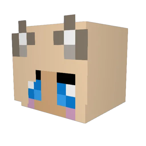 TheDjCookie Minecraft avatar head, 3D render