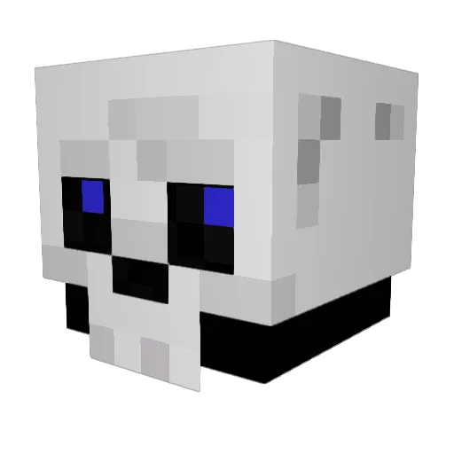 TheDoctor1021 Minecraft avatar head, 3D render