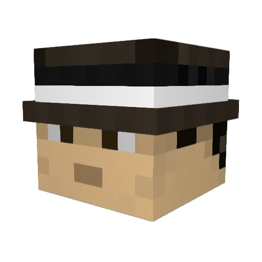 TheDoctor145 Minecraft avatar head, 3D render