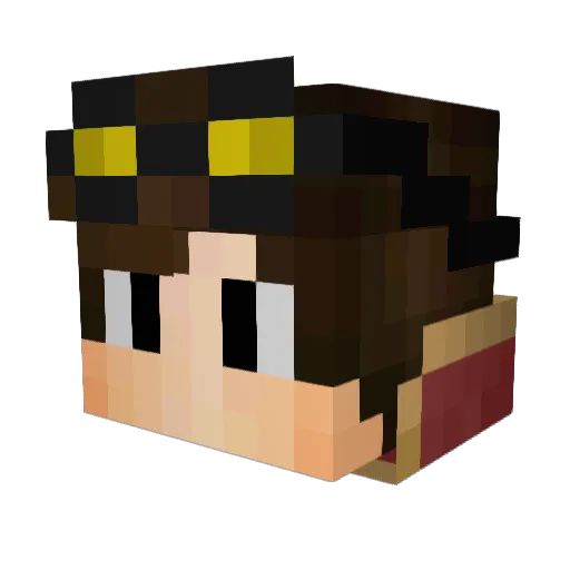 TheDoctor1467 Minecraft avatar head, 3D render
