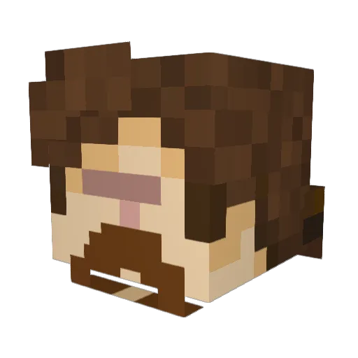 TheDoctor6462 Minecraft avatar head, 3D render