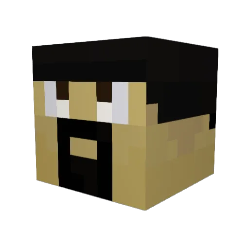 TheDoctor9999 Minecraft avatar head, 3D render