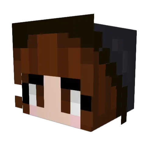 TheDoctor9 Minecraft avatar head, 3D render