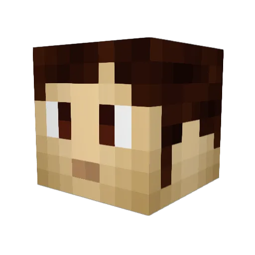 TheDoctorQui Minecraft avatar head, 3D render