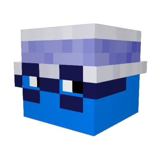 TheDoctorTTR Minecraft avatar head, 3D render