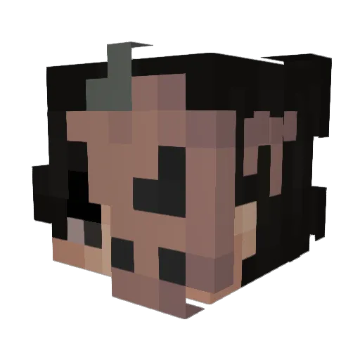 TheDoctorXII Minecraft avatar head, 3D render