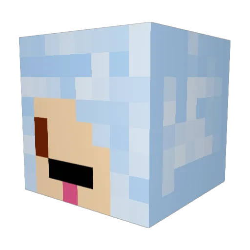 TheDog0222 Minecraft avatar head, 3D render