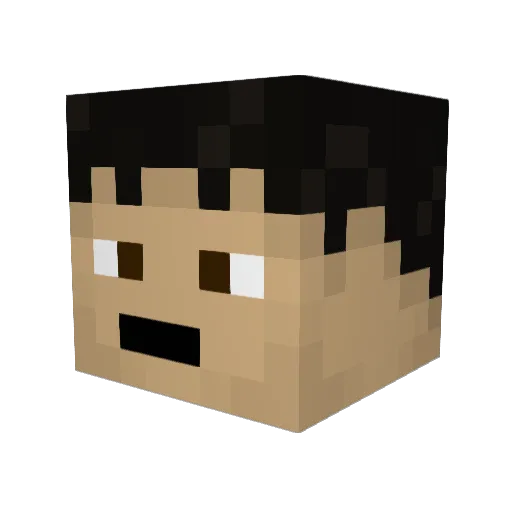 TheDogbone1 Minecraft avatar head, 3D render