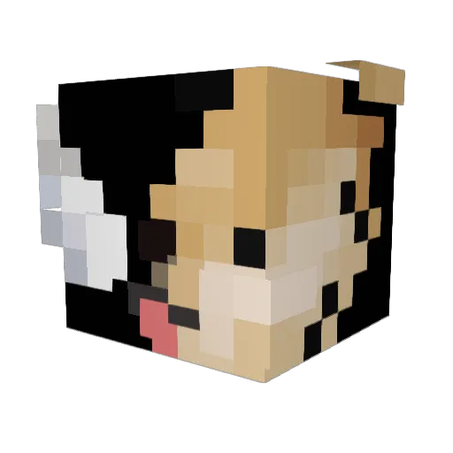 TheDogeCrafts Minecraft avatar head, 3D render