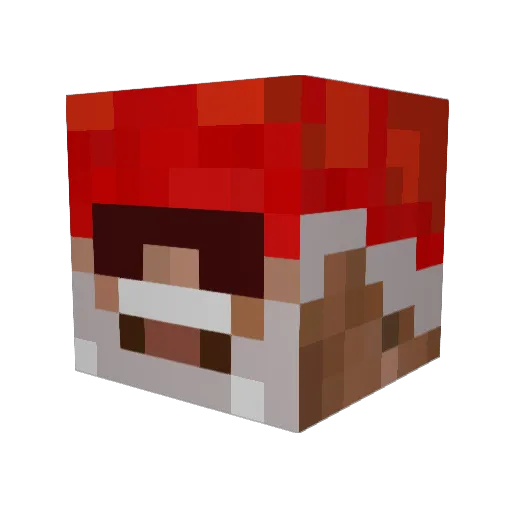 TheDolphinStorm Minecraft avatar head, 3D render