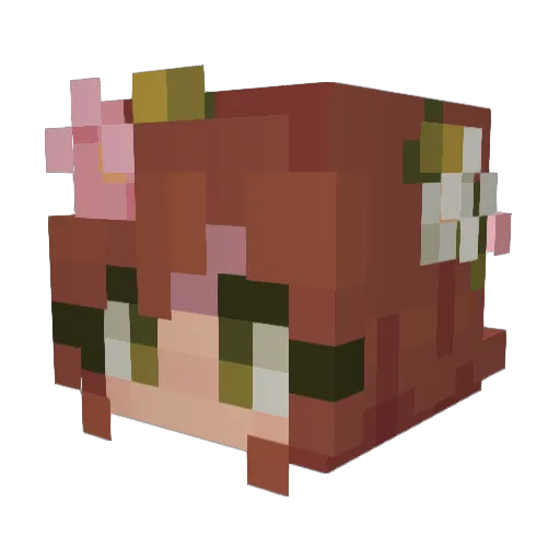 TheDong420 Minecraft avatar head, 3D render