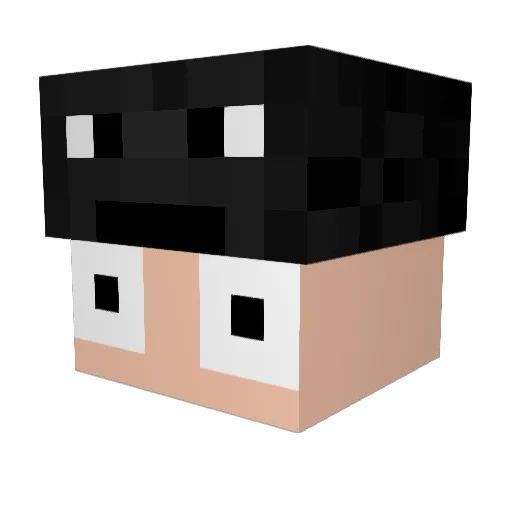 TheDonkis Minecraft avatar head, 3D render