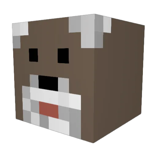 TheDrDog Minecraft avatar head, 3D render