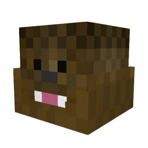 TheDrFluffy Minecraft avatar head, 3D render