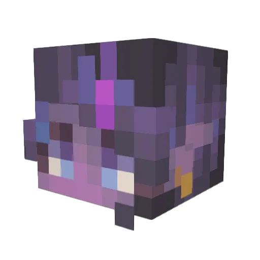 TheDragon999 Minecraft avatar head, 3D render