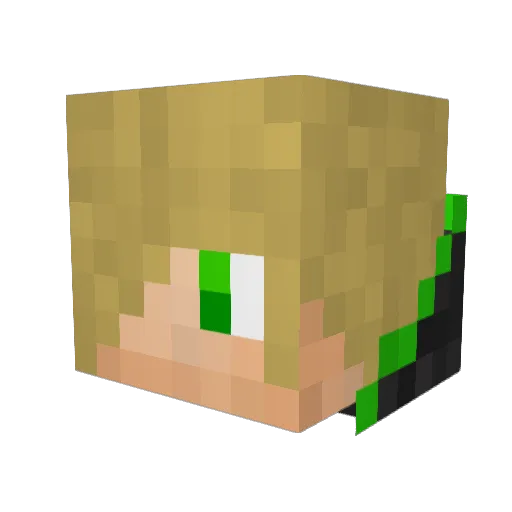 TheDragonBorn258 Minecraft avatar head, 3D render