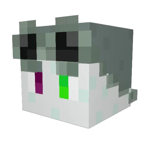 TheDragonLover06 Minecraft avatar head, 3D render