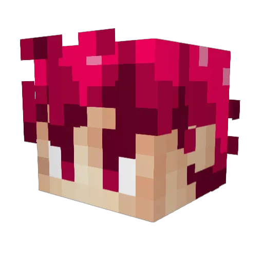 TheDrakuss Minecraft avatar head, 3D render