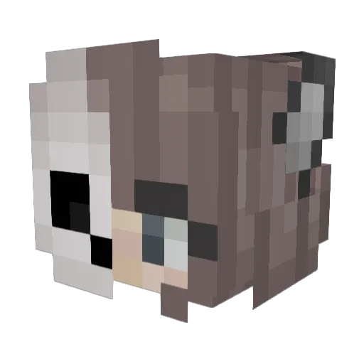 TheDreamChapter Minecraft avatar head, 3D render