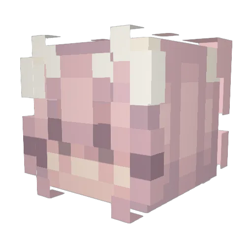 TheDressOne Minecraft avatar head, 3D render