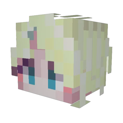 TheDroneBoi Minecraft avatar head, 3D render