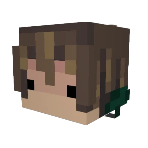 TheDuck1119 Minecraft avatar head, 3D render