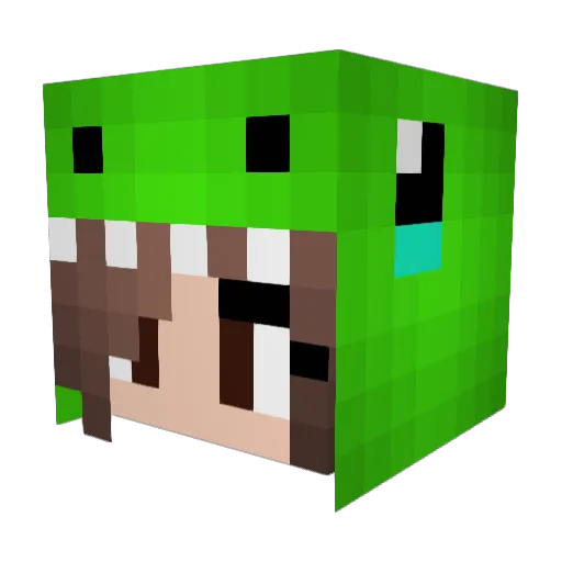 TheDuckQuacks Minecraft avatar head, 3D render