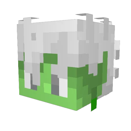 TheDuck_12 Minecraft avatar head, 3D render
