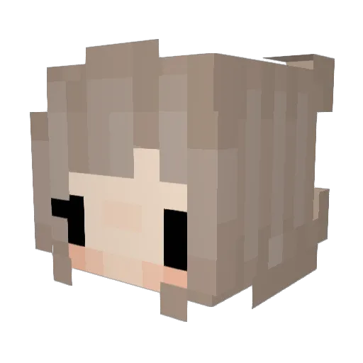 TheDuckie7 Minecraft avatar head, 3D render