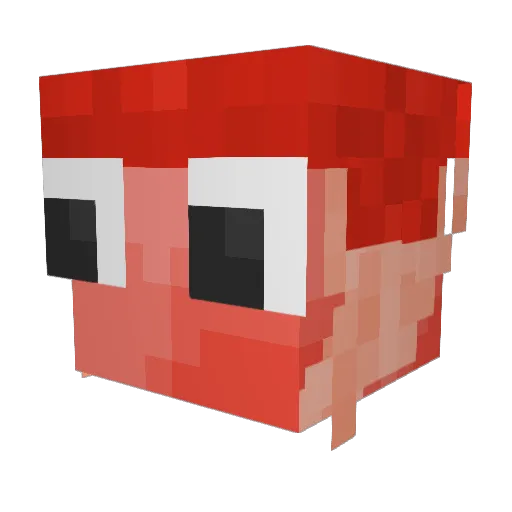 TheDuckler12 Minecraft avatar head, 3D render