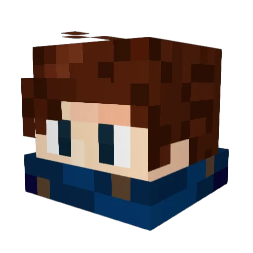 TheDude4_20 Minecraft avatar head, 3D render
