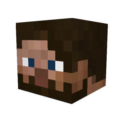 TheDuke0fNY Minecraft avatar head, 3D render