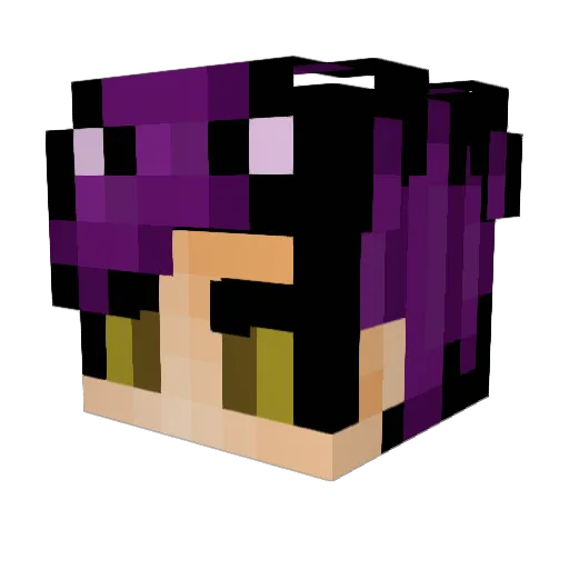 TheDukinator Minecraft avatar head, 3D render