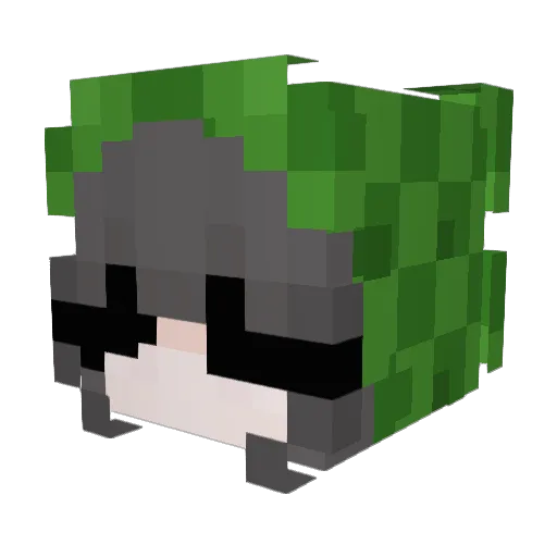TheDuna Minecraft avatar head, 3D render
