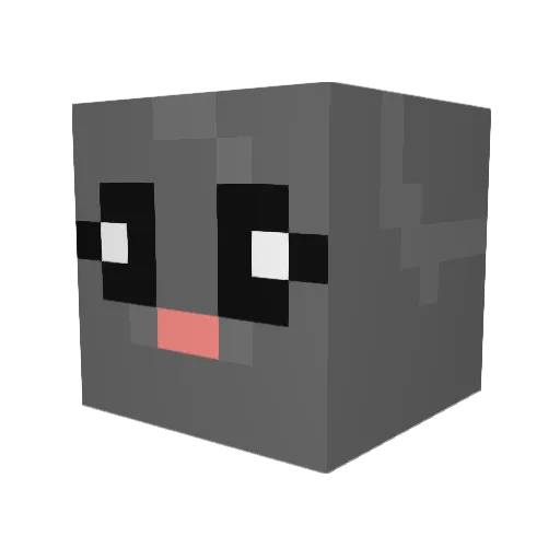TheDustBunny119 Minecraft avatar head, 3D render