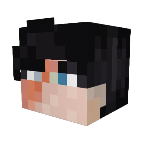 TheDustWizard Minecraft avatar head, 3D render