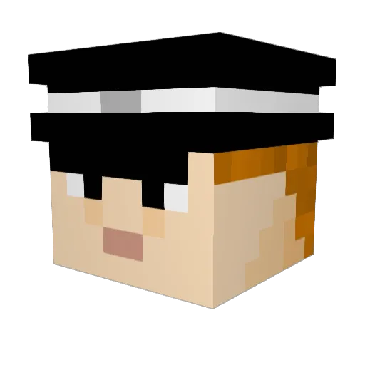 TheDutchWay Minecraft avatar head, 3D render