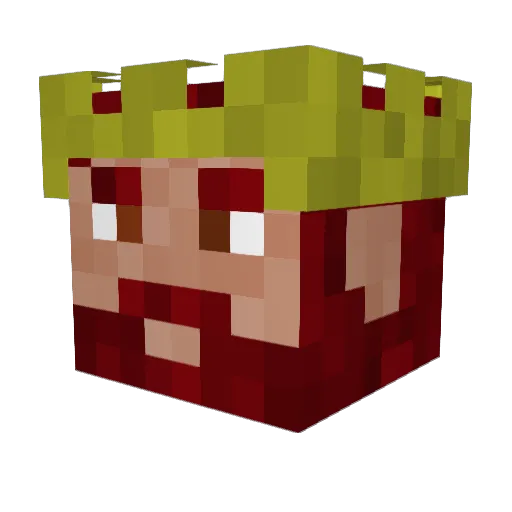 TheDwarvenKing8 Minecraft avatar head, 3D render