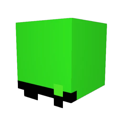 TheDwayne11 Minecraft avatar head, 3D render