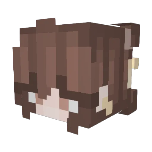 TheEMpire2021 Minecraft avatar head, 3D render