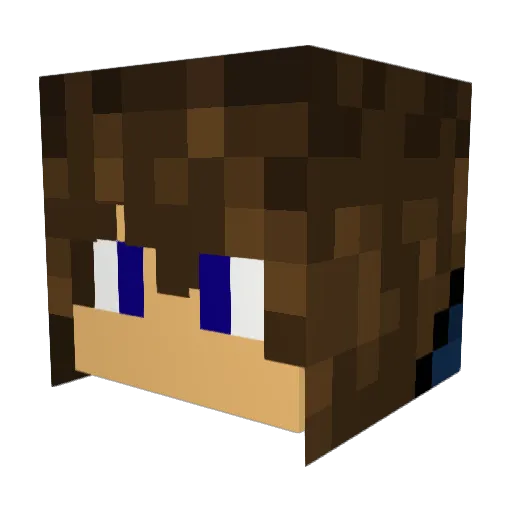 TheEagle99 Minecraft avatar head, 3D render