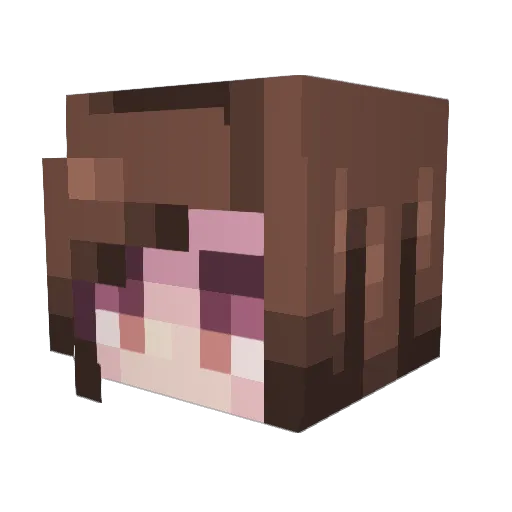 TheEeveeCat Minecraft avatar head, 3D render
