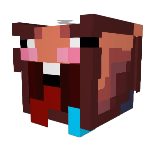 TheElationAha Minecraft avatar head, 3D render