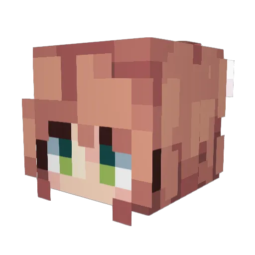TheElusivNinja Minecraft avatar head, 3D render